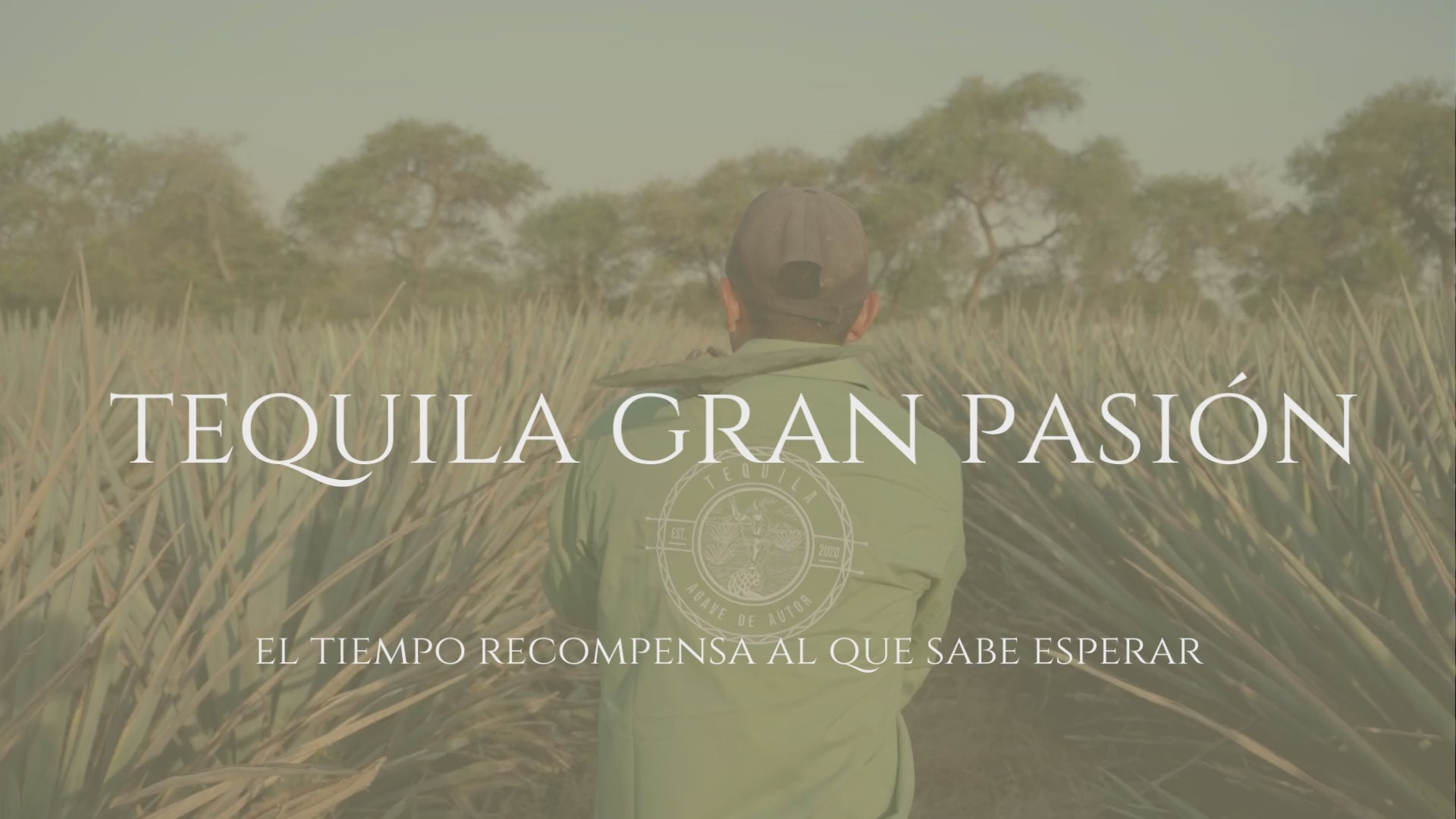 Cargar video: Tequila Gran Pasión